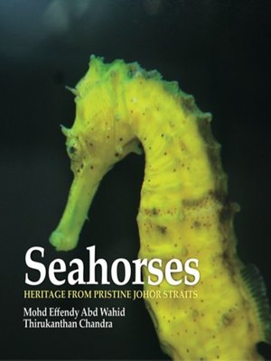 cover image of Seahorses Heritage from Pristine Johore Straits